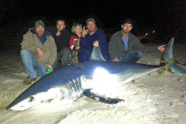 Amerikalı balıqshı 270 kilogram shıgatugın balıq usladı